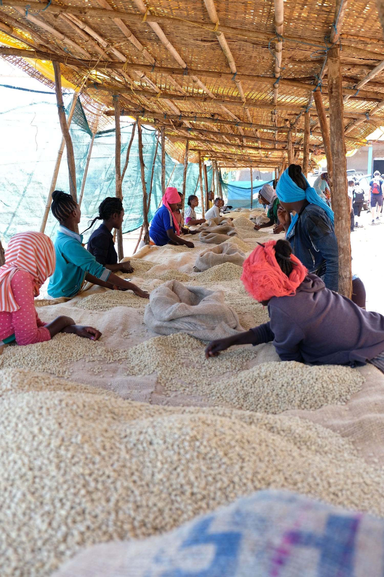 TANZANIA