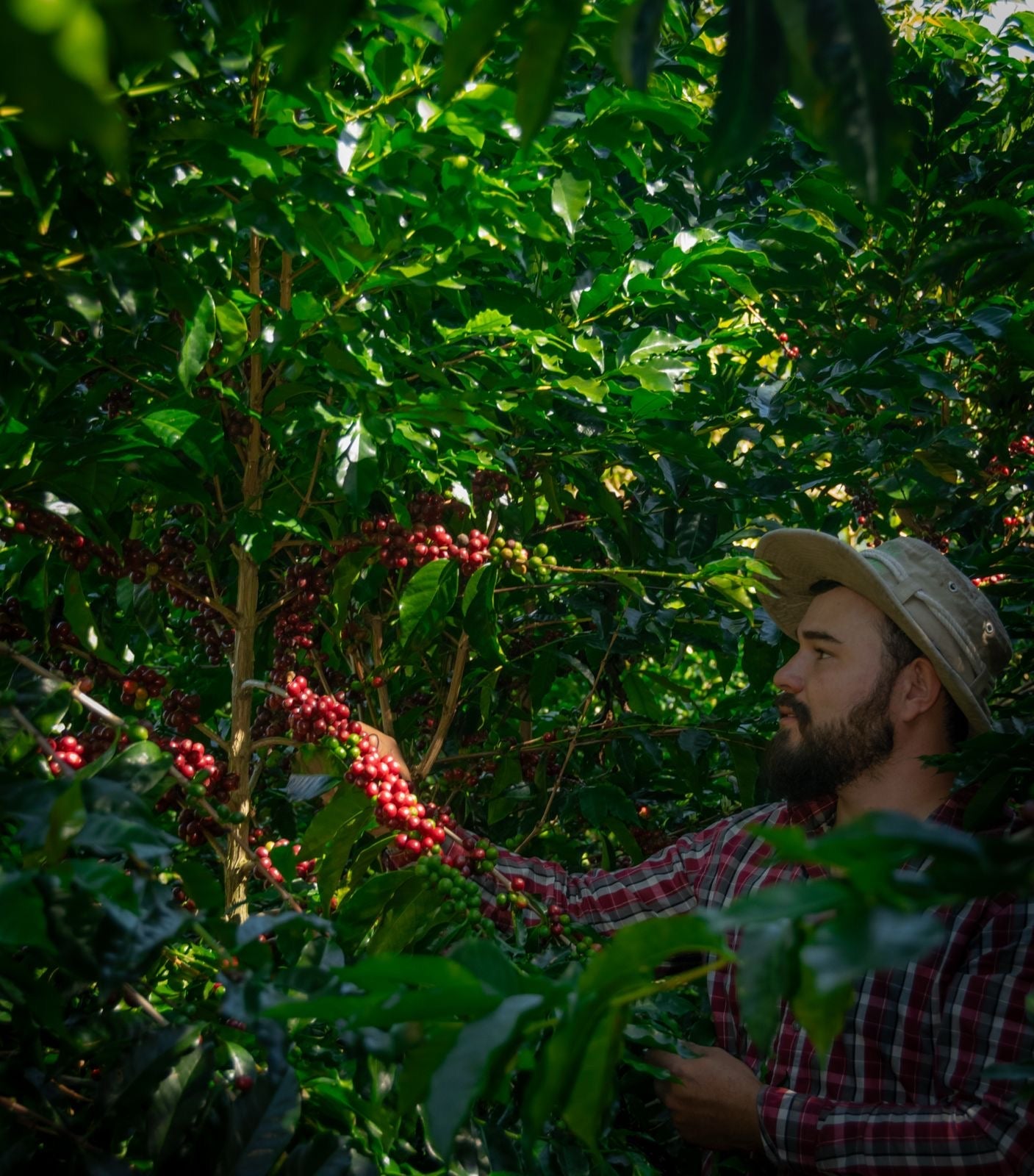 COSTA RICA