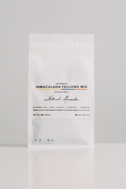 Colombia Inmaculada Fellows Mix